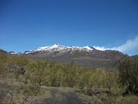 Sciammaro_Lupo - 22042012 118.jpg